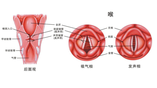 wuwei