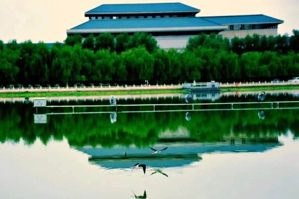 wuwei