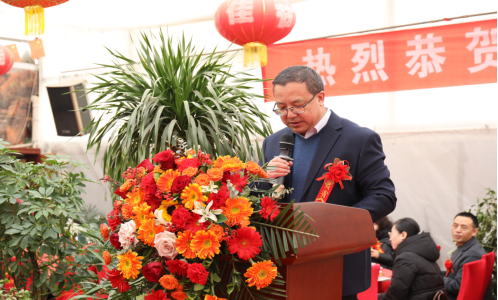 wuwei