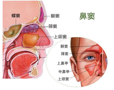 wuwei