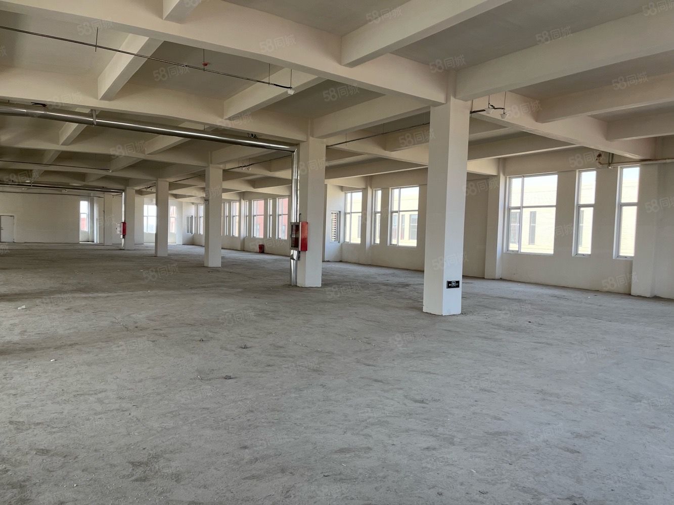 (出租) 白马路旁工业区邻未来科学城单层1300平米厂房出租做什么都行