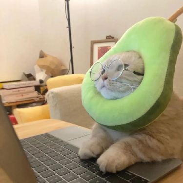 王石