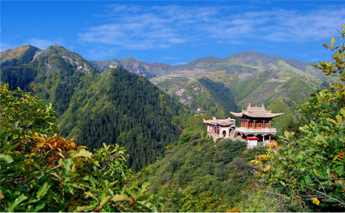 wuwei