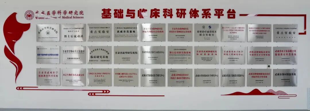 wuwei