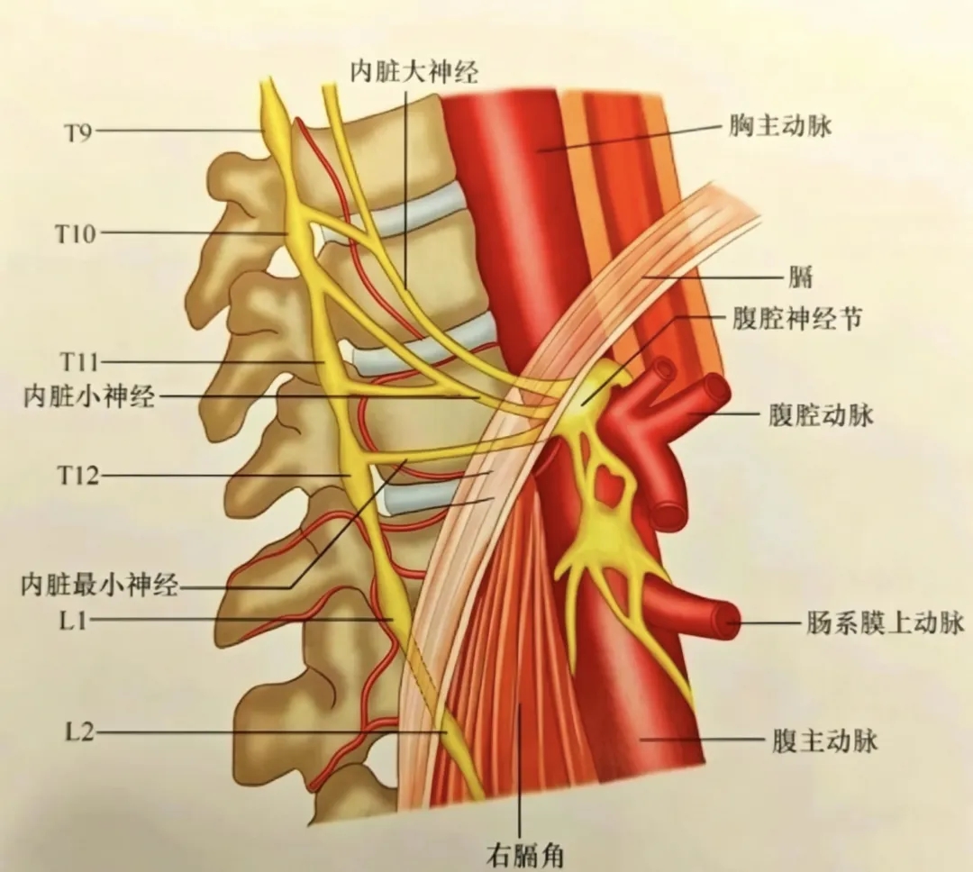 wuwei