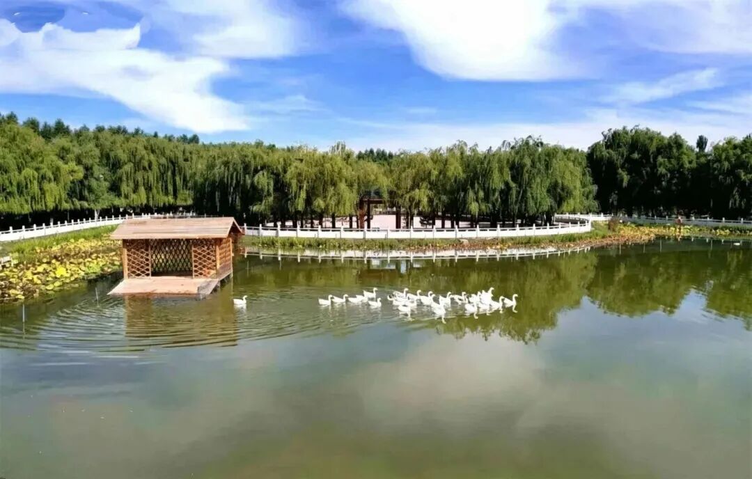 wuwei