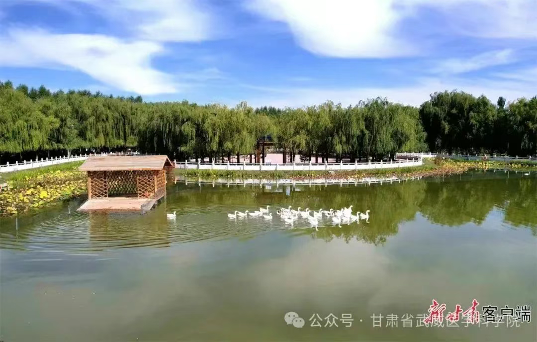 wuwei