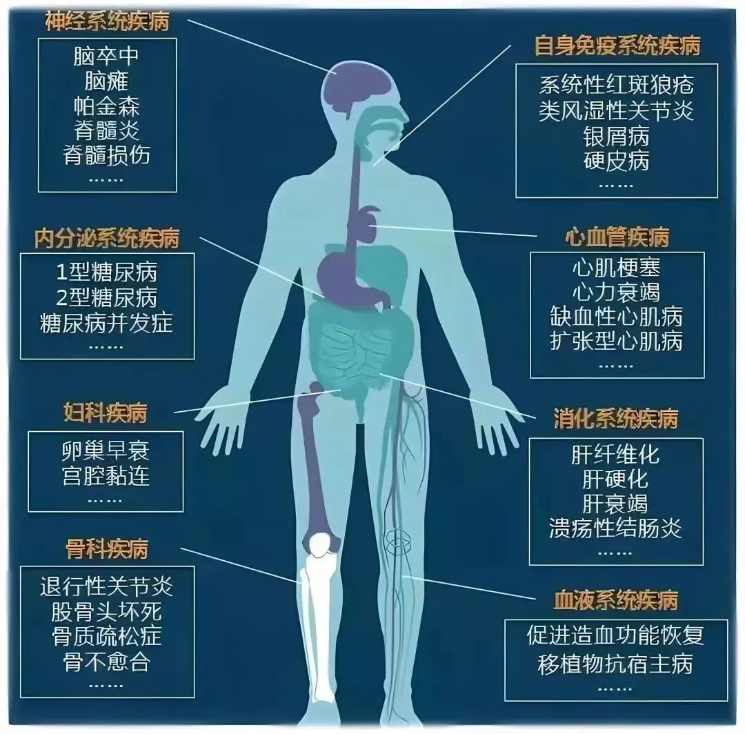 wuwei
