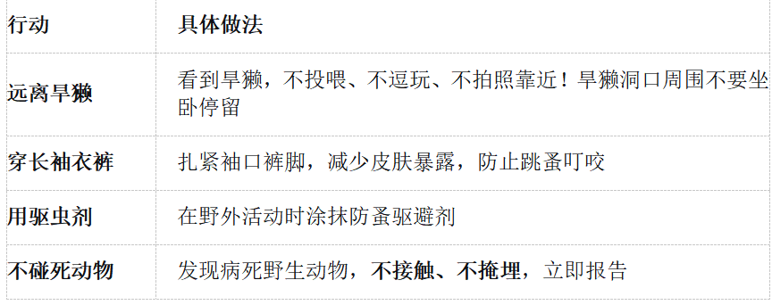 wuwei