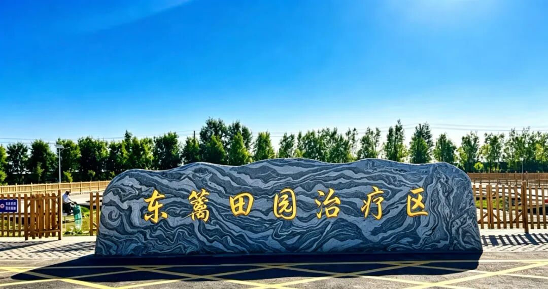 wuwei