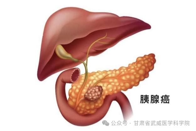 wuwei