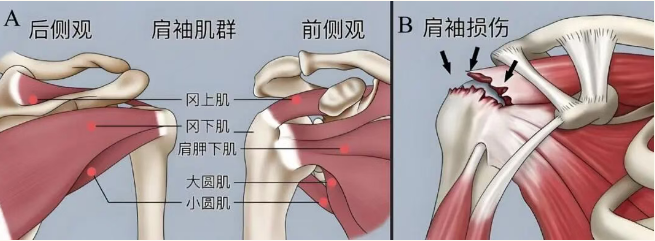 wuwei