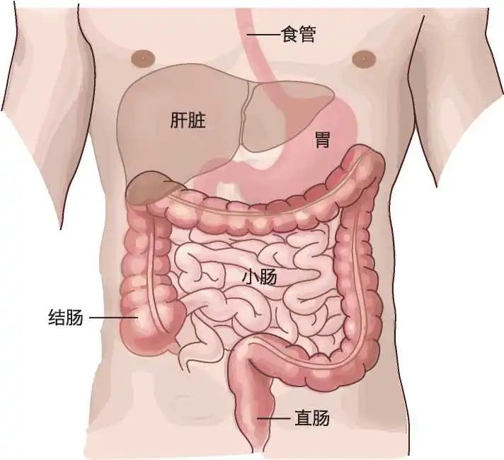 wuwei