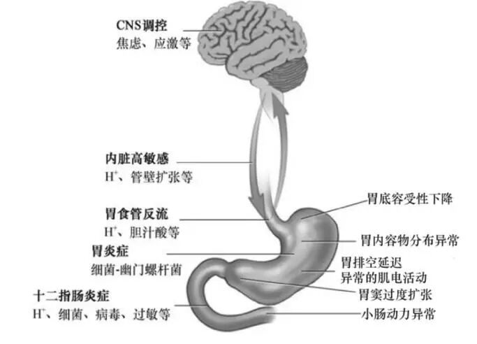wuwei