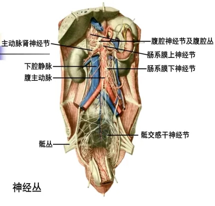 wuwei