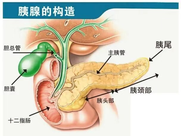 wuwei