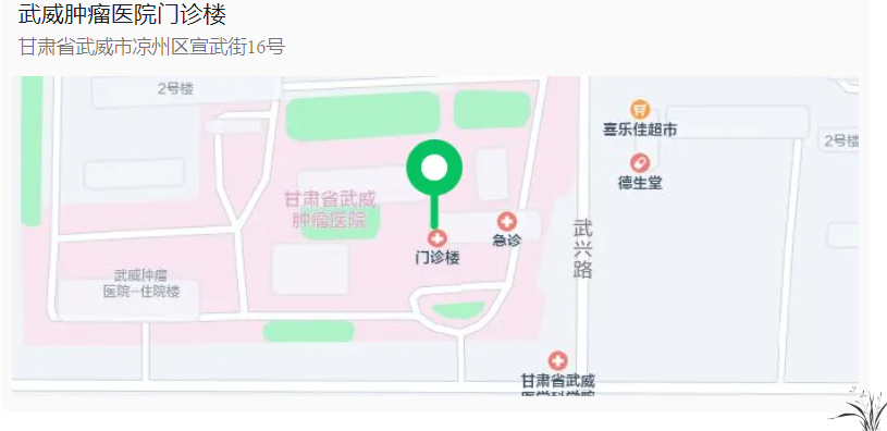 wuwei